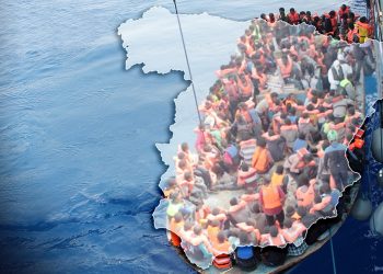 Borrador automático