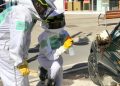 Aumentan las actuaciones por enjambres en Valencia con la subida de temperaturas