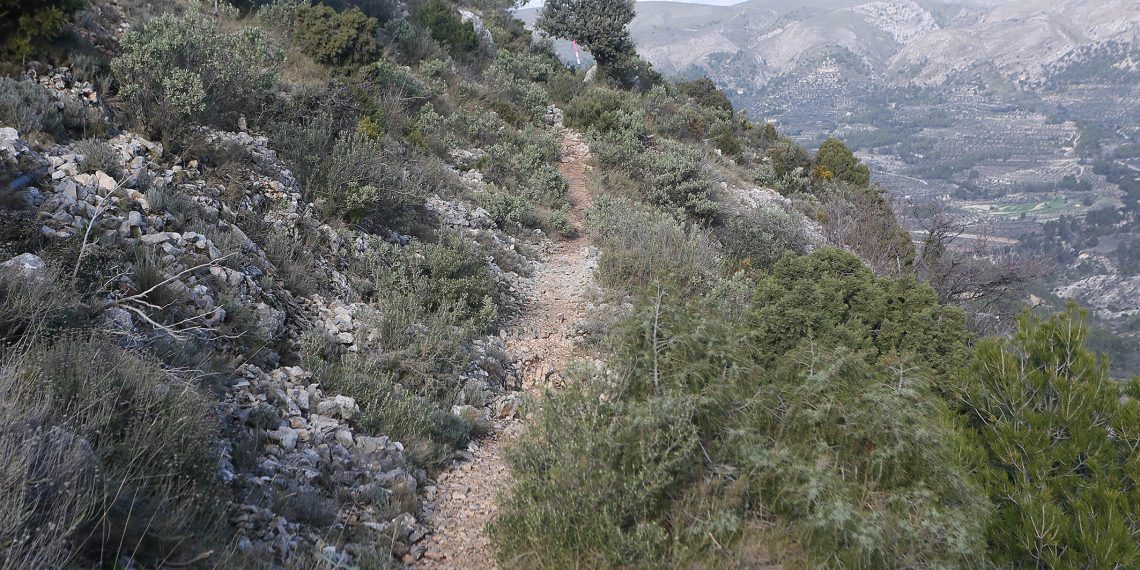 La Diputación de Alicante destina más de 400.000 euros a ayudas medioambientales