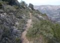 La Diputación de Alicante destina más de 400.000 euros a ayudas medioambientales