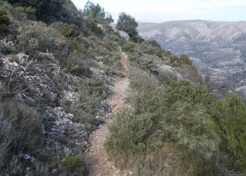 La Diputación de Alicante destina más de 400.000 euros a ayudas medioambientales