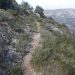 La Diputación de Alicante destina más de 400.000 euros a ayudas medioambientales