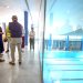 La Petxina afronta una inversión de más de 7 millones para renovar su piscina y residencia de deportistas