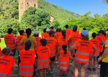 Abierta la convocatoria de subvenciones para proyectos de prevención de incendios