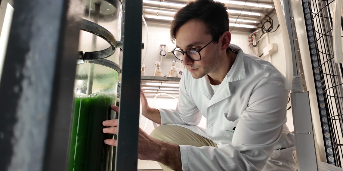 Ivace+i impulsa bioestimulantes con microalgas resistentes para transformar la agricultura