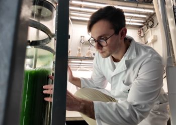 Ivace+i impulsa bioestimulantes con microalgas resistentes para transformar la agricultura