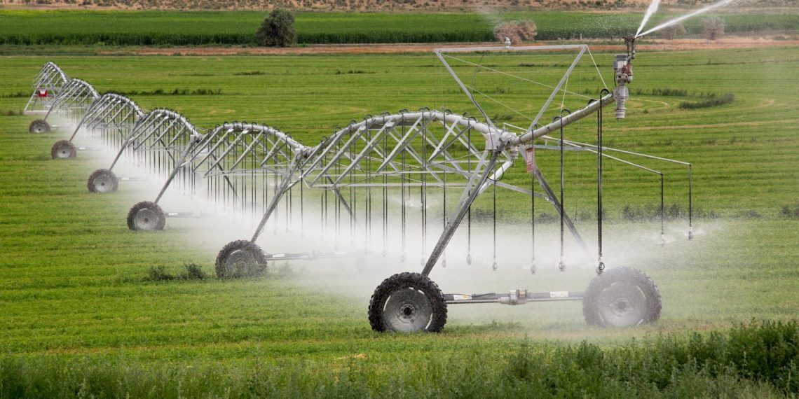 El IVF lanza una línea anticrisis de financiación para el sector agroalimentario valenciano