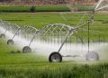 El IVF lanza una línea anticrisis de financiación para el sector agroalimentario valenciano