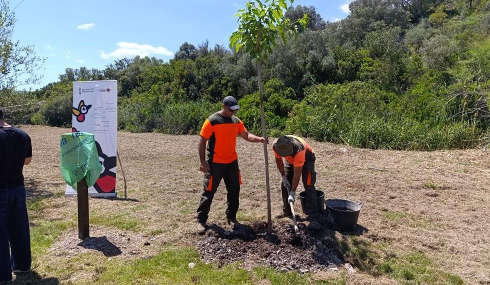 La Marjal de Pego-Oliva homenajea a Félix Rodríguez de la Fuente con la plantación de una morera blanca en Alicante