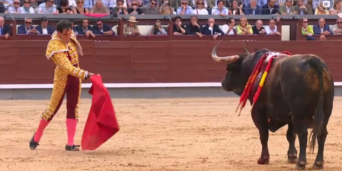 Los toros baten récords de audiencia y reúnen a 600.000 espectadores en À Punt