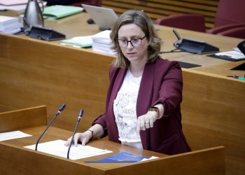 El PPCV acusa a Miguel Polo de “tapar con insultos su falta de gestión el día de la dana”