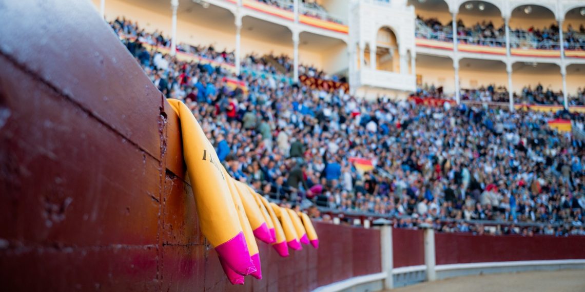 Toros en À Punt: Bocairent con los victorinos y dos corridas en Las Ventas