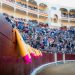 Toros en À Punt: Bocairent con los victorinos y dos corridas en Las Ventas