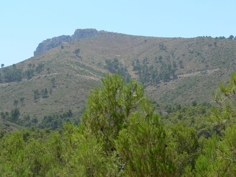 La Diputación de Alicante destina más de un millón para reforzar la protección de los montes