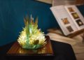 El Museo de les Ciencias premia los mejores proyectos de cristalización escolar en Valencia