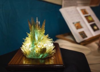 El Museo de les Ciencias premia los mejores proyectos de cristalización escolar en Valencia