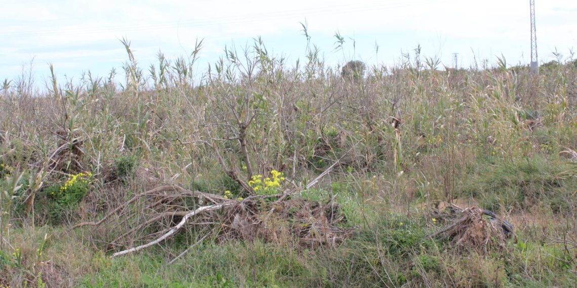 LA UNIÓ denuncia que el Gobierno de España sigue sin reparar parcelas agrícolas afectadas por la dana un año y medio después