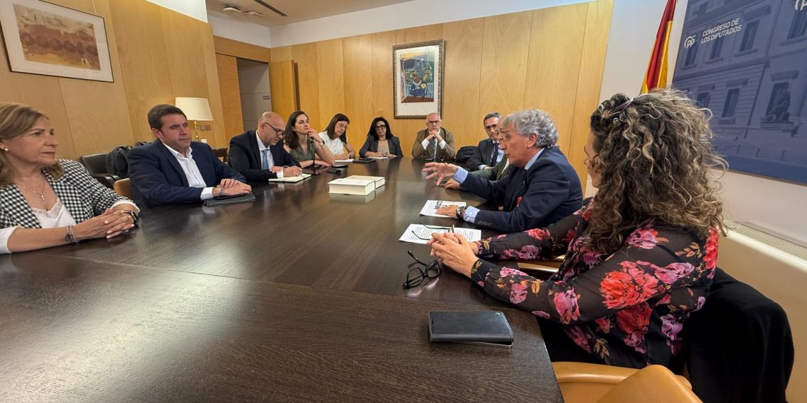 El PPCV reclama una Ley ante Catástrofes para agilizar la respuesta en emergencias