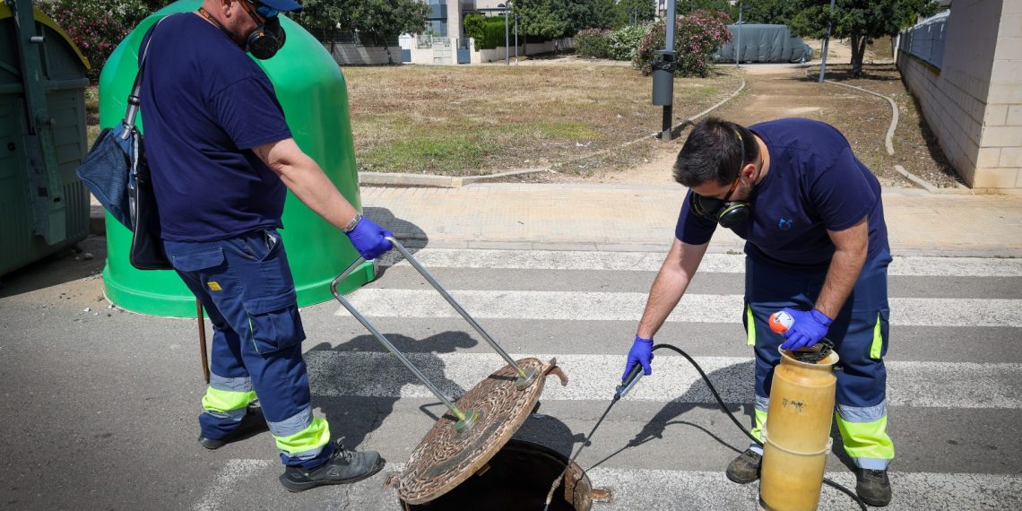 Torrent adelanta la campaña de alcantarillado para frenar plagas de cucarachas y roedores