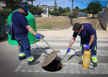 Torrent adelanta la campaña de alcantarillado para frenar plagas de cucarachas y roedores
