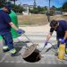 Torrent adelanta la campaña de alcantarillado para frenar plagas de cucarachas y roedores