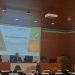 La Generalitat refuerza la vigilancia frente al HLB para proteger la citricultura valenciana