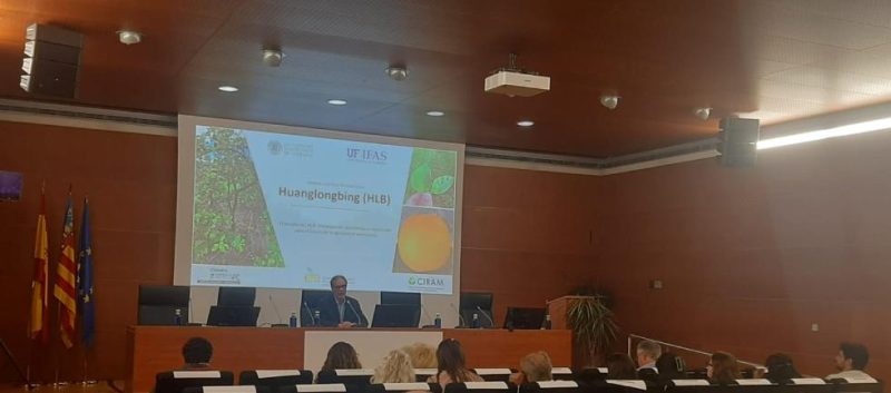 La Generalitat refuerza la vigilancia frente al HLB para proteger la citricultura valenciana