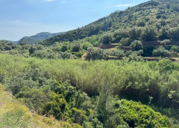 Gátova exige a la CHJ la limpieza urgente del Barranco del Carraixet