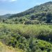 Gátova exige a la CHJ la limpieza urgente del Barranco del Carraixet