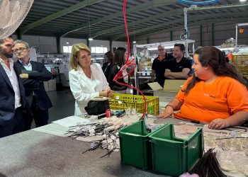 La Generalitat impulsará el empleo de 12.000 personas con discapacidad en 2026