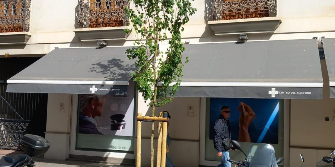 Valencia planta 762 nuevos árboles en la campaña anual de arbolado urbano 2025-2026