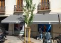 Valencia planta 762 nuevos árboles en la campaña anual de arbolado urbano 2025-2026