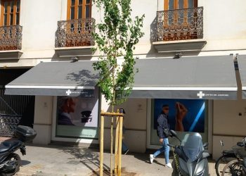 Valencia planta 762 nuevos árboles en la campaña anual de arbolado urbano 2025-2026