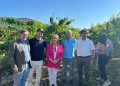 Agricultura refuerza las ayudas al sector de la cereza de Alicante