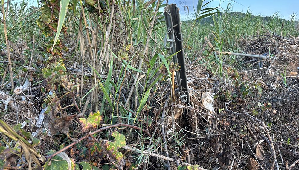Cristóbal Aguado, Presidente de AVA-ASAJA: La DANA a pie de campo, año y medio después