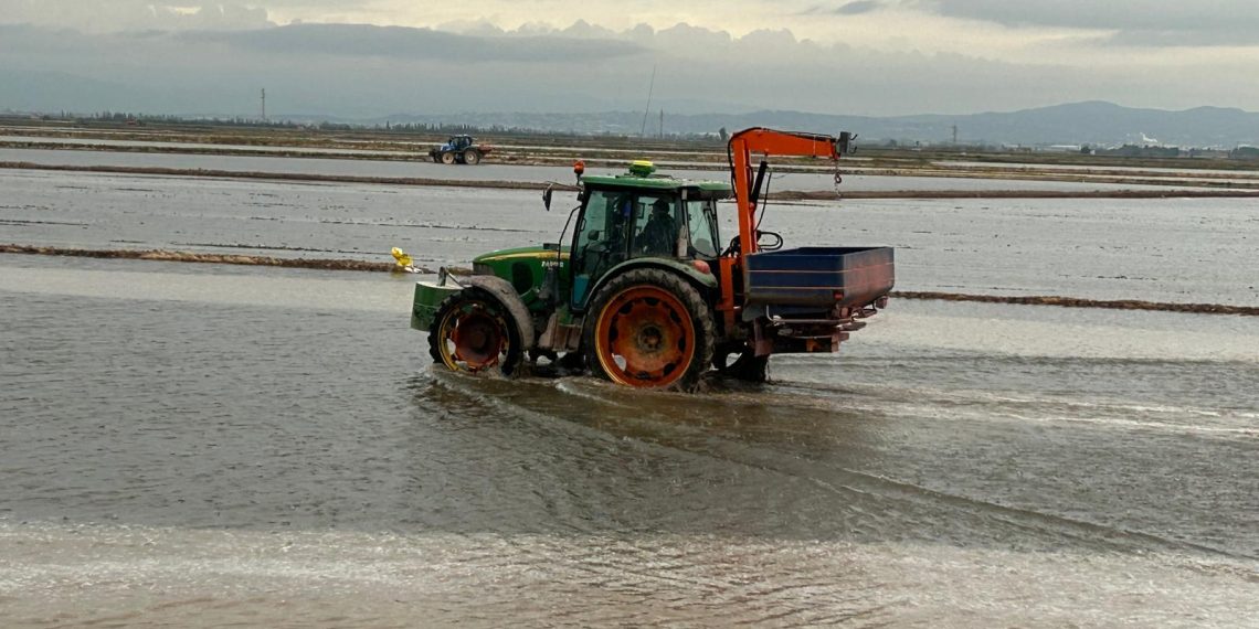 AVA-ASAJA: “La siembra del arroz más cara de la historia”.