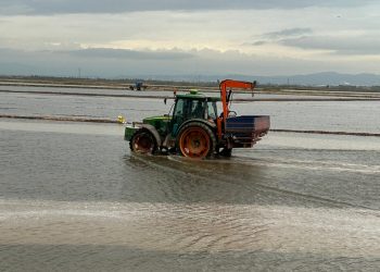 AVA-ASAJA: “La siembra del arroz más cara de la historia”.