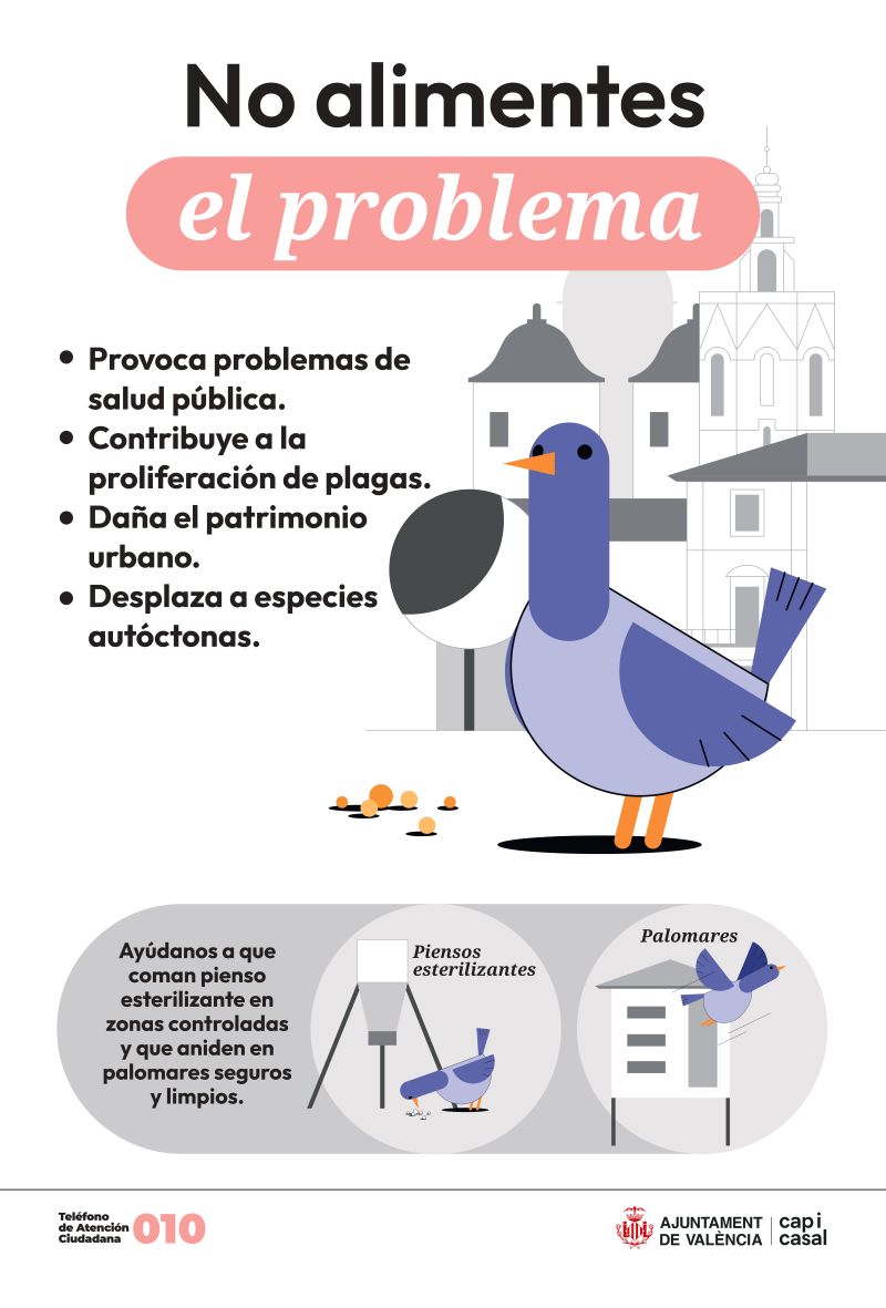 Valencia lanza la campaña “No alimentes el problema” para frenar la sobrepoblación de palomas en la ciudad