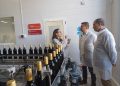 El Consell destina más de 5 millones de euros al impulso del sector vitivinícola valenciano