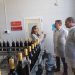 El Consell destina más de 5 millones de euros al impulso del sector vitivinícola valenciano