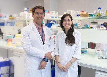 La CEU UCH participa en un estudio internacional sobre obesidad y enfermedad renal