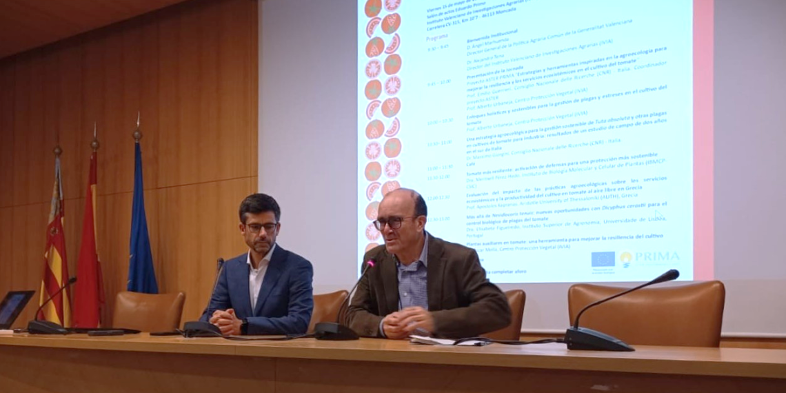 El IVIA clausura el proyecto europeo ASTER para la producción agroecológica de tomate