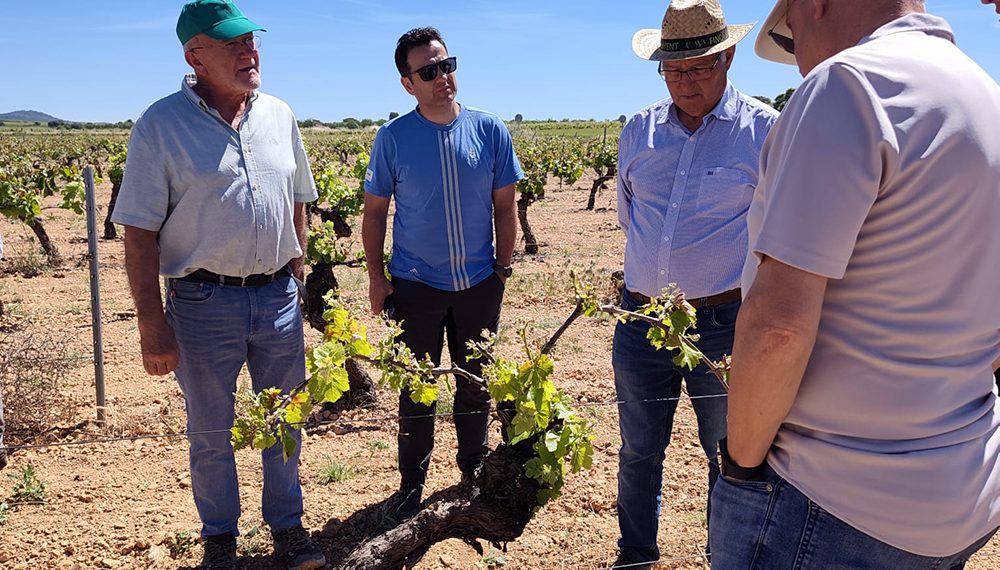 El sector vitivinícola valora las peritaciones rápidas de Agroseguro por la marchitez fisiológica