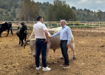 Más de 90 nuevos agricultores dinamizan el campo de Alicante respaldados con 4,3 millones en ayudas