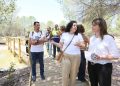 La Diputación de Alicante invierte más de 170.000 euros para mejorar la accesibilidad del paraje natural El Plano de Sax