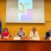 El MARQ acogerá el IX Maratón de Donación de Sangre de Alicante el 8 de junio