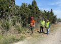Valencia intensifica la prevención de incendios en la carretera de El Palmar