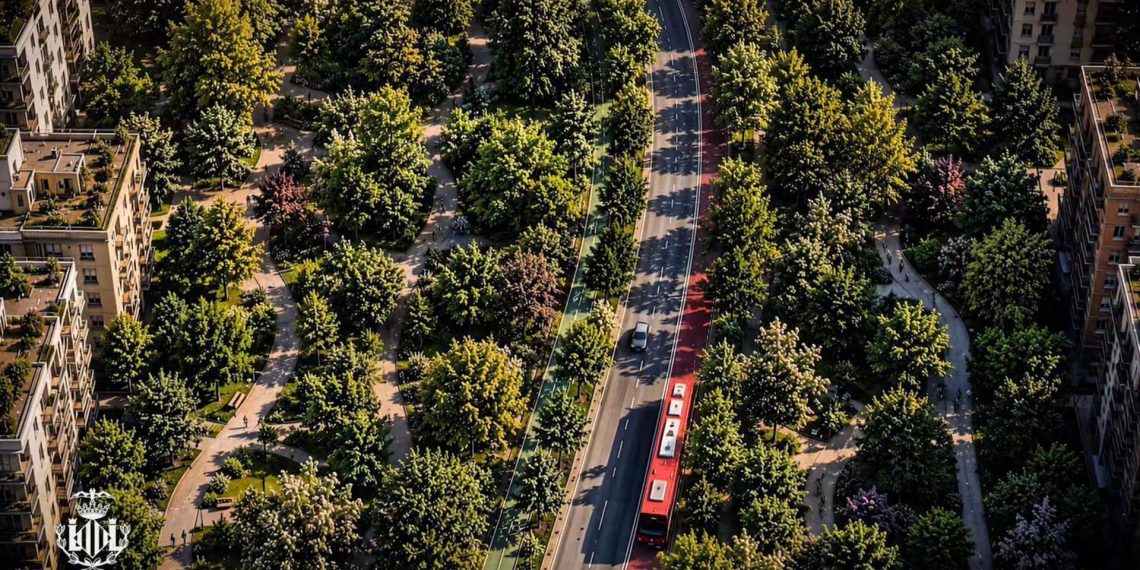 Valencia suma el paseo García Llorca como segundo pulmón verde de la ciudad