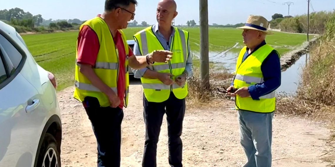 Valencia inicia la mejora de dos caminos rurales de La Punta “estratégicos” para la actividad agraria