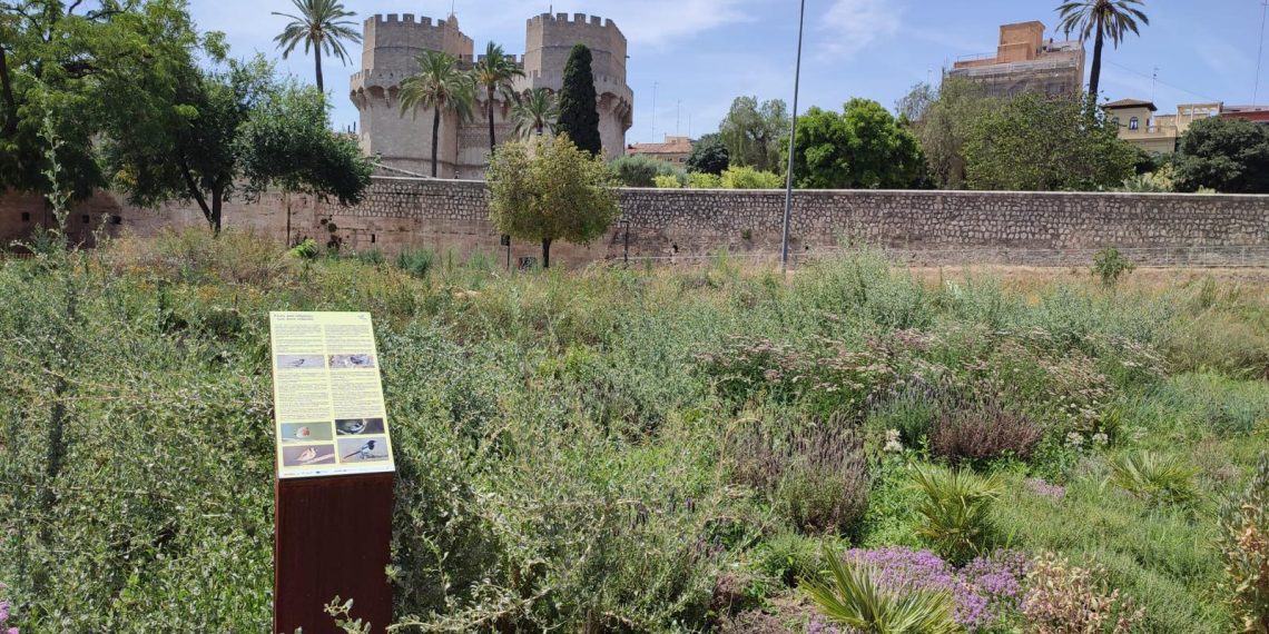 El Ayuntamiento de Valencia inaugura el nuevo Jardín de Polinizadores en el cauce del Túria